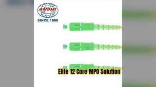Elite MPO Fiber Yama Kablosu 12 Çekirdekli G652D Ağ Çözümü